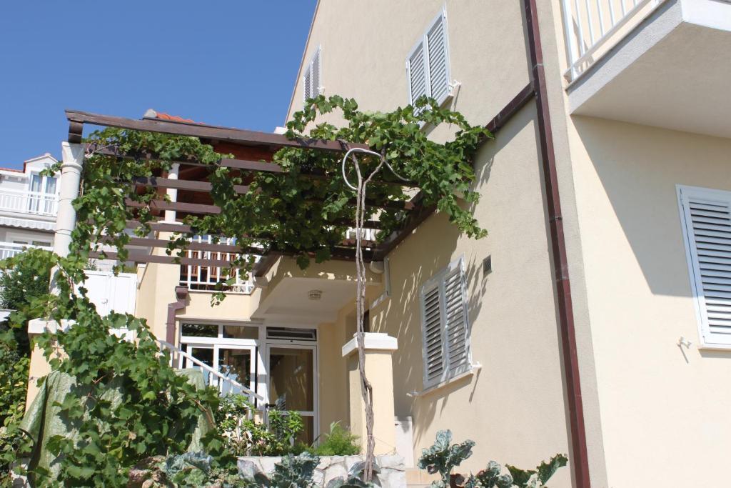 Apartments Stella Maris Цавтат Экстерьер фото